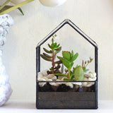 Maxbell Glass House Terrarium Container Geometric Succulent Planter 15.5x10.5x15.5cm