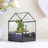 Maxbell Glass House Terrarium Container Geometric Succulent Planter 15.5x10.5x15.5cm