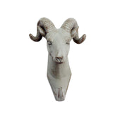 Maxbell Decorative Goat Head Wall Mount Hanger Resin Coat Hat Hook Rustic Grey