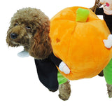 Maxbell Pet Dog Cat Warm Clothes Fancy Pumpkin Costume Puppy Apparel Coat Jacket M