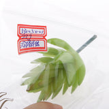 Maxbell Artificial Succulent Haworthia Tortuosa Foliage Plastic Decor Light Green