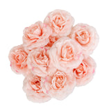 Maxbell 10 Artificial Silk Camellia Flower Heads for Wedding Party Decor Light Pink