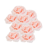 Maxbell 10 Artificial Silk Camellia Flower Heads for Wedding Party Decor Light Pink