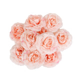 Maxbell 10 Artificial Silk Camellia Flower Heads for Wedding Party Decor Light Pink