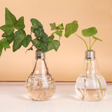 Maxbell 2Pcs Clear Bulb Shape Glass Plant Flower Vase Hydroponic Container Bottle