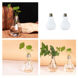 Maxbell 2Pcs Clear Bulb Shape Glass Plant Flower Vase Hydroponic Container Bottle