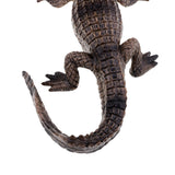 Maxbell Wildlife Animals Action Model Toy for Chidren Gift American Mouth Crocodile