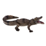 Maxbell Wildlife Animals Action Model Toy for Chidren Gift American Mouth Crocodile