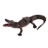 Maxbell Wildlife Animals Action Model Toy for Chidren Gift American Mouth Crocodile