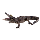 Maxbell Wildlife Animals Action Model Toy for Chidren Gift American Mouth Crocodile