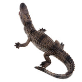 Maxbell Wildlife Animals Action Model Toy for Chidren Gift American Mouth Crocodile