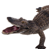 Maxbell Wildlife Animals Action Model Toy for Chidren Gift American Mouth Crocodile