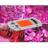 Maxbell Led Chip Grow Full Spectrum 380nm-840nm For Indoor Led Grow Light  50W