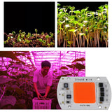 Maxbell Led Chip Grow Full Spectrum 380nm-840nm For Indoor Led Grow Light  50W