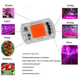 Maxbell Led Chip Grow Full Spectrum 380nm-840nm For Indoor Led Grow Light  50W