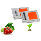 Maxbell Led Chip Grow Full Spectrum 380nm-840nm For Indoor Led Grow Light  50W