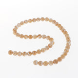 Maxbell string of natural gemstone Shell Stone beads for jewelry DIY 6mm 63pcs