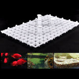 Maxbell Aquarium Divider Tray Fish Tank Filter Bottom Isolation Grid clear