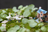 Maxbell 10 Pairs Miniature Dollhouse Bonsai Fairy Garden Landscape Couple Duck Decor