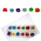 Maxbell Nail Art Decoration Sticker Dried Flower Design Stickers 3D DIY Tips Tool