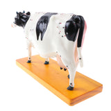 Maxbell Professional 68 Acupuncture Points Cattle Anatomical Model School Teaching Tool Lab Supplies