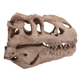 Maxbell 16cm Dinosaur Tyrannosaurus Rex Skull Resin Model Collectibles Aquarium Ornament Home Decor