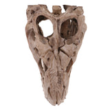 Maxbell 16cm Dinosaur Tyrannosaurus Rex Skull Resin Model Collectibles Aquarium Ornament Home Decor