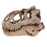 Maxbell 16cm Dinosaur Tyrannosaurus Rex Skull Resin Model Collectibles Aquarium Ornament Home Decor