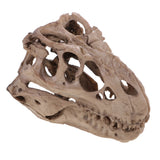 Maxbell 16cm Dinosaur Tyrannosaurus Rex Skull Resin Model Collectibles Aquarium Ornament Home Decor