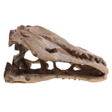 Maxbell 16cm Dinosaur Tyrannosaurus Rex Skull Resin Model Collectibles Aquarium Ornament Home Decor