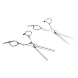 Maxbell Professional 6.0'' Silver Hair Cutting Shears/Scissors and Barber Thinning/Texturizing Set with Black Storage Case