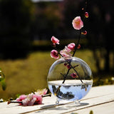 Maxbell Table Decor Glass Flower Planter Vase Terrarium Container Home Garden Ball Shape