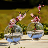 Maxbell Table Decor Glass Flower Planter Vase Terrarium Container Home Garden Ball Shape