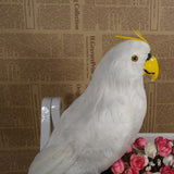 Maxbell Realistic Parrot Artificial Feather Bird Animal Ornament Garden Decor White