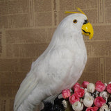 Maxbell Realistic Parrot Artificial Feather Bird Animal Ornament Garden Decor White