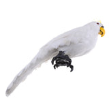Maxbell Realistic Parrot Artificial Feather Bird Animal Ornament Garden Decor White