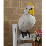 Maxbell Realistic Parrot Artificial Feather Bird Animal Ornament Garden Decor White