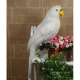 Maxbell Realistic Parrot Artificial Feather Bird Animal Ornament Garden Decor White
