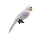 Maxbell Realistic Parrot Artificial Feather Bird Animal Ornament Garden Decor White