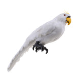 Maxbell Realistic Parrot Artificial Feather Bird Animal Ornament Garden Decor White