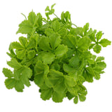 Maxbell Artificial Celery Leaves Plants Home Office Wedding Garden Decor Green #3