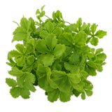 Maxbell Artificial Celery Leaves Plants Home Office Wedding Garden Decor Green #3