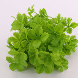 Maxbell Artificial Celery Leaves Plants Home Office Wedding Garden Decor Green #3