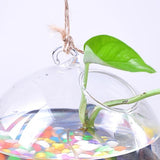 Maxbell Hanging Glass Plant Flower Vase Fishbowl Terrarium Container Pot Decor 15cm