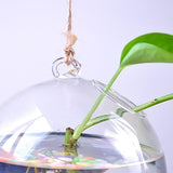 Maxbell Hanging Glass Plant Flower Vase Fishbowl Terrarium Container Pot Decor 15cm