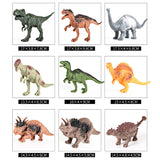 Maxbell 44 Pieces of Realistic Dinosaur Model Figures with a Storage Box, T-rex, Triceratops, Stegosaurus