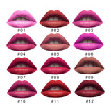 Maxbell Set of 12 Colors Long Wearing Waterproof Matte Liquid Lipstick Pencil Lip Gloss Makeup Kit