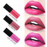 Maxbell Set of 12 Colors Long Wearing Waterproof Matte Liquid Lipstick Pencil Lip Gloss Makeup Kit