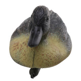 Maxbell 6 Pcs Fishing Hunting Male Decoy Plastic Duck Decoy Drake w/ Floating Keel