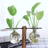 Maxbell 5 Pieces Vintage Wooden Stand Glass Hydroponic Vase Terrarium Container Ball